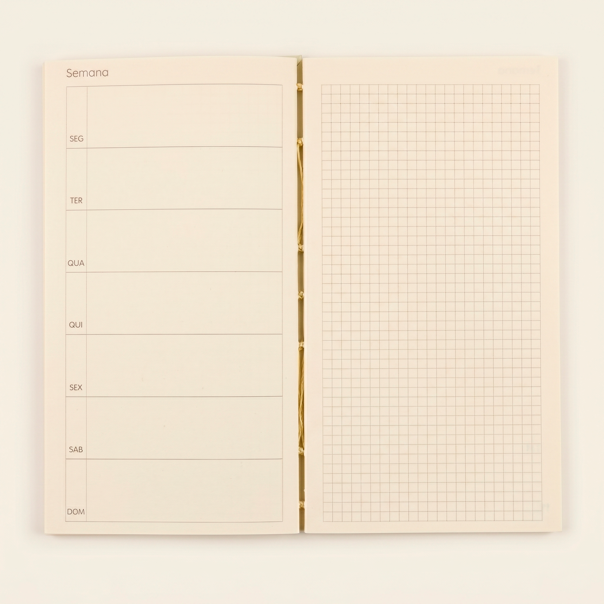 Planner Semaninha